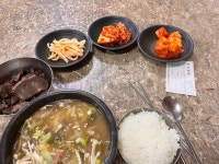 [유치회관] Tabe_chosun님의 추천 포스트 2023/3/31