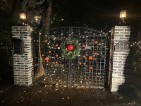 [카페 만디] Doran_Man님의 좋음 리뷰 2022/12/8