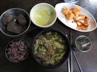 [북문유치회관] 글쎄요님의 추천 리뷰 2017/6/9