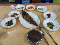 [일직식당] 잇포님의 좋음 리뷰 2023/11/10