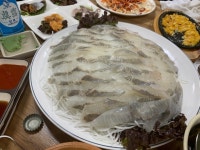[광어 9900 포장 수원본점] 최고야님의 추천 리뷰 2020/6/17