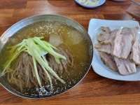 [옥천고읍냉면] 달님님의 좋음 포스트 2021/9/18