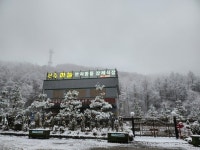 [전주하늘 반려동물장례식장] 오남매마미님의 추천 리뷰 2024/2/5
