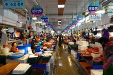 삼천포 용궁 수산시장 - 동동 시장 | 뽈레 Polle [삼천포 용궁 수산시장] 동동 시장 | 뽈레 Polle