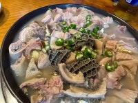 장호 짤라집 - 광화문 한식 | 뽈레 Polle [장호 짤라집] 광화문 한식 | 뽈레 Polle