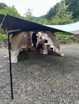 [용인랜드 숲속캠핑장] 냠쩝챱호록님의 리뷰 2024/5/19