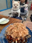 [이빠이 하루] 우디사랑님의 추천 리뷰 2023/3/12