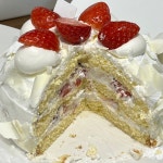 [르배] 도원동님의 추천 포스트 2022/12/26