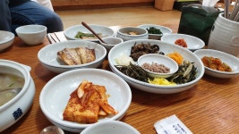 [서지초가뜰] 도락가님의 별로 포스트 2019/6/9