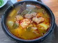 [국일 따로국밥] 호모루덴스님의 추천 포스트 2022/3/7