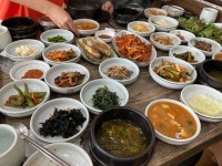 [시골집] 푸린님의 추천 포스트 2022/9/25