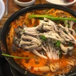 [가양칼국수 버섯매운탕] 밀크폼님의 추천 포스트 2022/7/15
