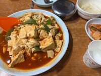 [진로집] 김연님의 리뷰 2024/5/10