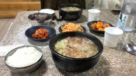 [유치회관] Hoon님의 추천 포스트 2022/4/3