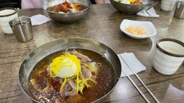 춘하추동 밀면 해운대직영점 - 해운대 밀면 | 뽈레 Polle [춘하추동 밀면 해운대직영점] 해운대 밀면 | 뽈레 Polle