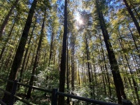 안산 자락길 - 연희동 공원 | 뽈레 Polle [안산 자락길] 연희동 공원 | 뽈레 Polle