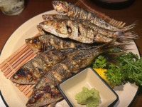 [이자카야 나무 시청점] seha님의 리뷰 2025/9/26