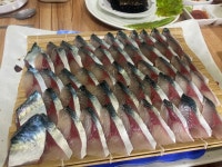 [자리돔횟집] 이나가님의 리뷰 2024/8/16