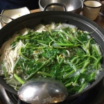 [복진면] 모로님의 추천 포스트 2019/11/3