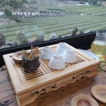 [서귀다원] 몽 !님의 추천 포스트 2021/2/14