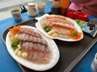 [피쉬스토리] 소야님의 추천 리뷰 2024/2/4