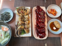 [오늘부터 애간장] 파랑님의 리뷰 2024/4/27