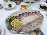 묵호 어판장 - 천곡동 횟집 | 뽈레 Polle [묵호 어판장] 천곡동 횟집 | 뽈레 Polle