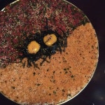 [단골손님 대학로점] 쓰루님의 리뷰 2020/1/16