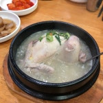 금성삼계탕 - 중동 삼계탕 | 뽈레 Polle [금성삼계탕] 중동 삼계탕 | 뽈레 Polle