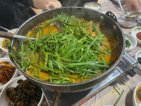 [담소정] 참을성 있는 손님님의 추천 포스트 2022/1/10