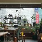 [서울상회] 뿌뿌님의 추천 리뷰 2023/10/13