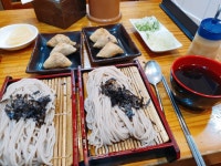 [송옥 본점] 몰락인생님의 추천 포스트 2023/2/25