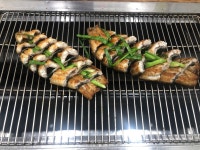 [장어촌] 문피쉬님의 좋음 포스트 2022/4/9