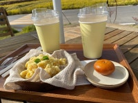 [연리희재] 쌈이님의 추천 포스트 2022/10/13