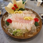 정일품 활어회 - 용전동 횟집 | 뽈레 Polle [정일품 활어회] 용전동 횟집 | 뽈레 Polle