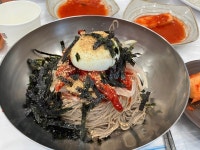 진미 동치미 메밀 막국수 - 아바이마을 막국수 | 뽈레 Polle [진미 동치미 메밀 막국수] 아바이마을 막국수 | 뽈레 Polle