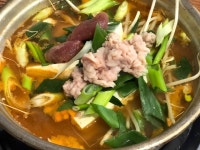 [원 명품 생태 전문] 렉스님의 좋음 리뷰 2018/6/23