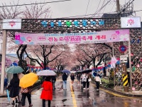 [전농로 벚꽃길] 따뜻해님의 추천 포스트 2023/3/24