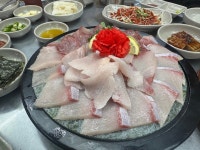 신촌 청정횟집 - 신촌 횟집 | 뽈레 Polle [신촌 청정횟집] 신촌 횟집 | 뽈레 Polle