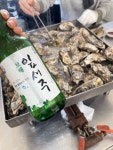 [유자가든] NMS님의 추천 포스트 2022/12/12