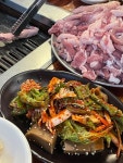 [세마 오리농원] 맛토리쿵야님의 추천 포스트 2022/8/6