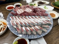 [조실장 회센터] 롱키님의 추천 리뷰 2023/12/26