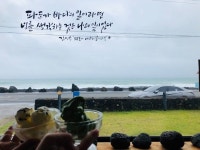 [신산리마을 카페] 도로시님의 추천 리뷰 2020/7/7