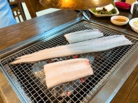 [참맛 장어] 소야님의 좋음 포스트 2022/8/9