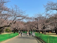 [代々木公園] 마니님의 추천 포스트 2022/10/20