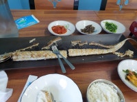 [김도희의 갈치창고] 새구님의 추천 리뷰 2021/4/24