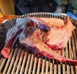 [양마루] 킁삼씨님의 추천 리뷰 2021/2/20