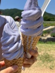 [하늬 라벤더팜] 오이맛님의 추천 리뷰 2023/6/17