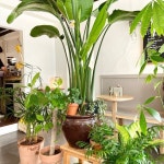 [리틀 오스] cclaire님의 좋음 리뷰 2021/4/17