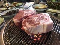 [돈사돈 별관] 꿀돼지님의 추천 포스트 2019/1/15